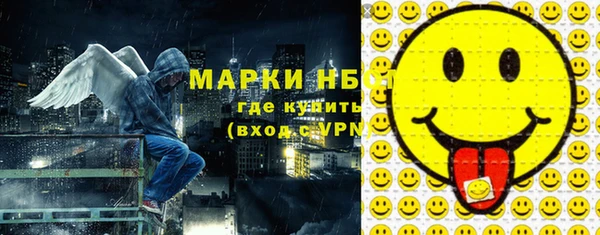 стаф Алексин