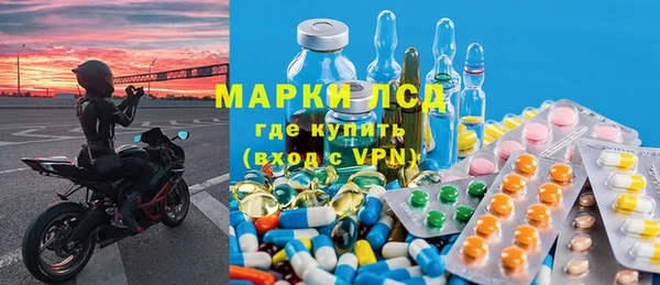 стаф Алексин
