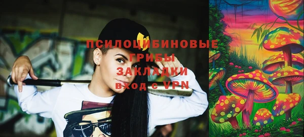 стаф Алексин