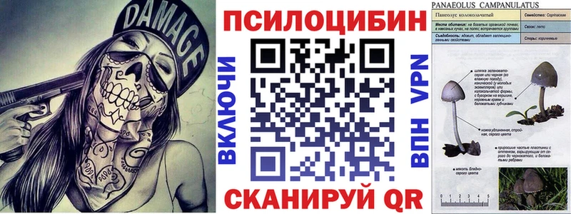 Псилоцибиновые грибы ЛСД  магазин    Неман 