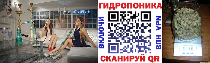 Шишки марихуана THC 21%  Неман 